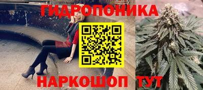 Альфа ПВП Канаш