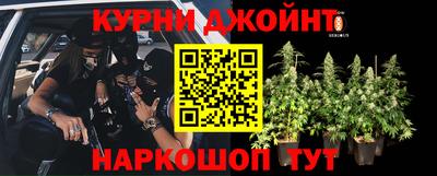 apvp Ипатово