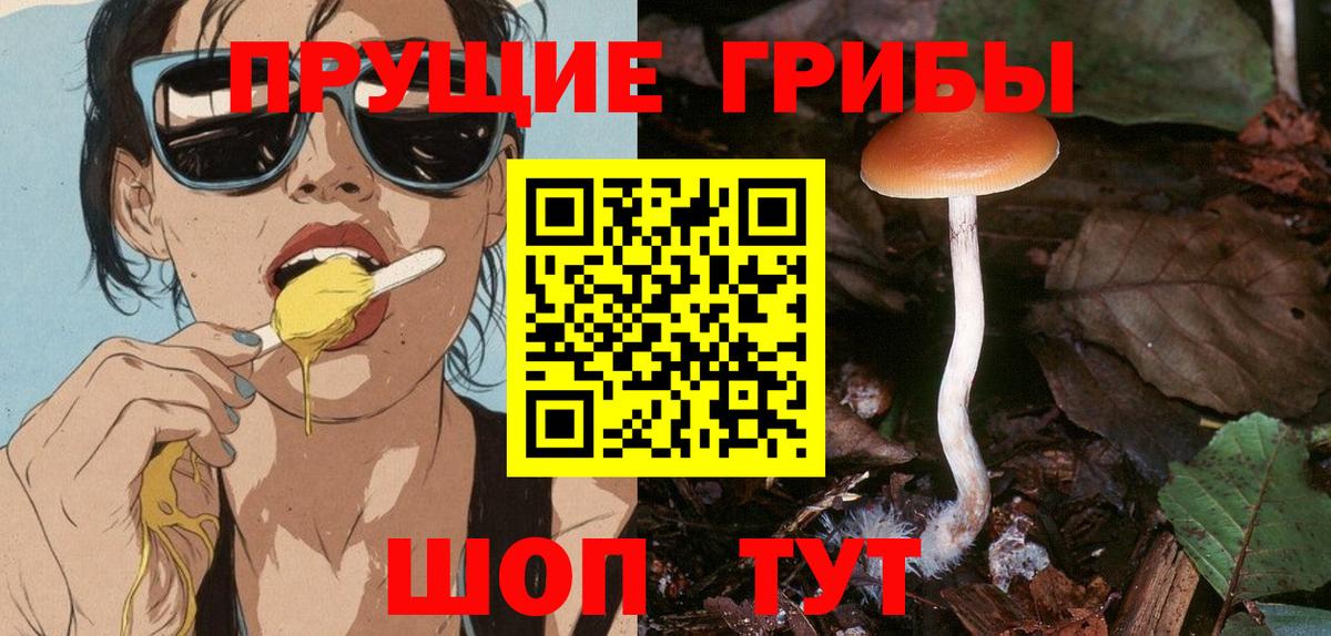 Псилоцибиновые грибы MAGIC MUSHROOMS Владивосток