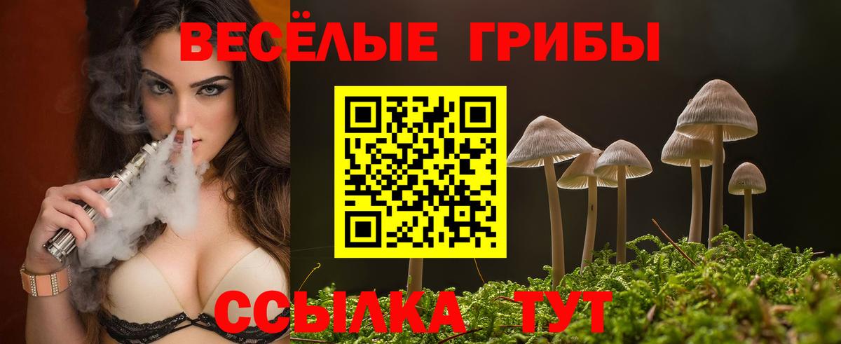 Галлюциногенные грибы Cubensis  продажа наркотиков  Владивосток  Вход с VPN 